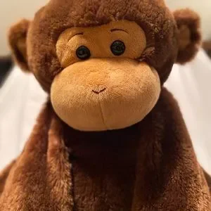 Toys r best sale us stuffed monkey